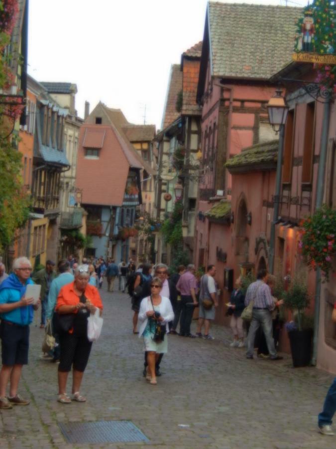 Gite Pinot Beblenheim Bagian luar foto